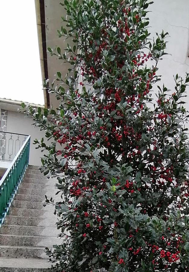 산타 콤바 당 Moradia Santa Comba 빌라 외부 사진
